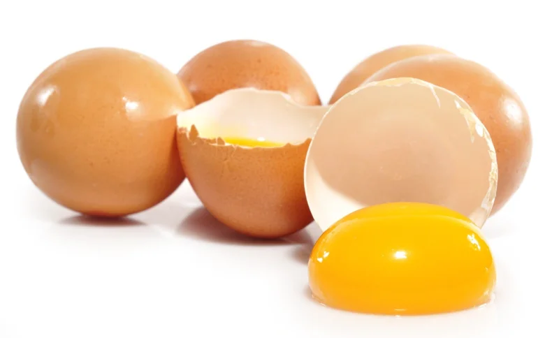 Hållbarhet på ägg