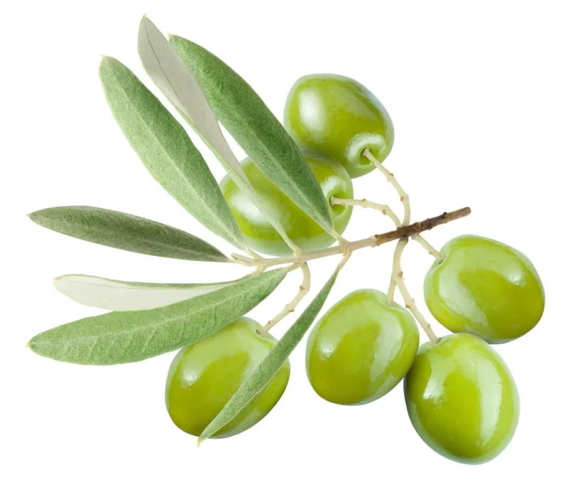 Olivsmör