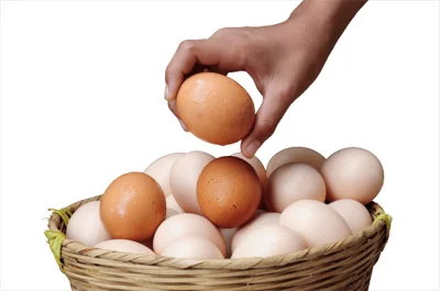Vilket ägg är bäst?