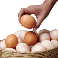 Vilket ägg är bäst?
