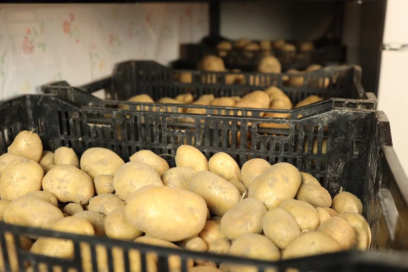 Mormorstips: Så förvarar du potatis mörkt och svalt
