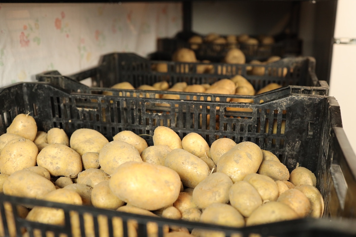 Mormorstips: Så förvarar du potatis mörkt och svalt